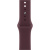 Apple Watch Series 12 (46 mm) - Titanium "Radiant Gold" + Sport Band "Burgundy"