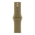 Apple Watch Series 12 (42 mm) - Aluminum "Dark bronze" + Sport Band "Olive" Apple Watch Series 12 (42 mm) - Aluminum "Dark bronze" + Sport Band "Olive"