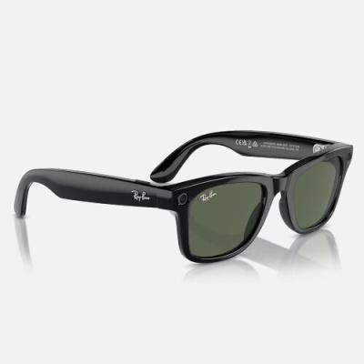 Ray-Ban Wayfarer Mate Black(оправа)-Graphite Green(линзы)|RW4008 Size 53